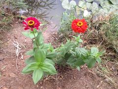 漩门湾国家湿地公园-漩门湾国家湿地公园