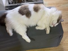 -白兔子密室(长寿路店)