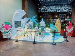 -杭州开元森泊度假乐园