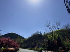 -佛慧山