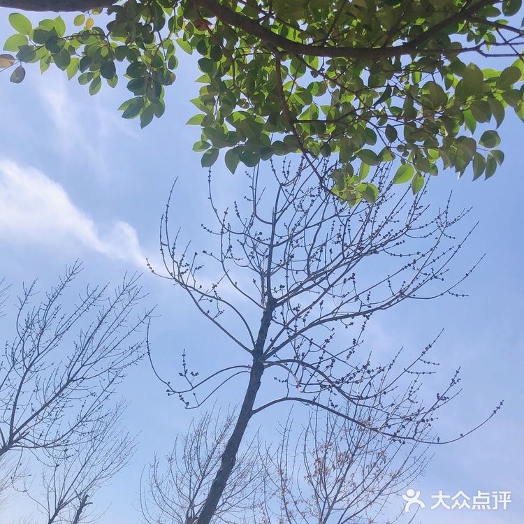 黄河滩