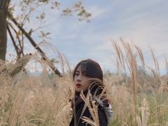 -白鹭湾湿地公园