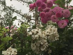 -张之洞与武汉博物馆