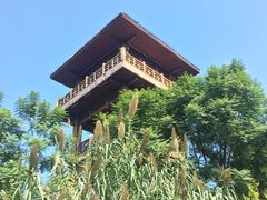 -张坝桂圆林公园