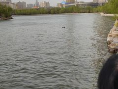 -迎泽公园