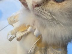 -怪兽屋·羊驼·猫咖·狗咖(俊华广场店)