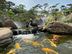 -罗红摄影艺术馆