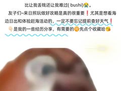 -巧克力渔家.小船海鲜家常菜(三浴场店)