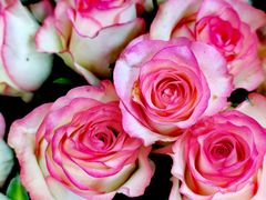 -奥士凯物美(新兴里店)