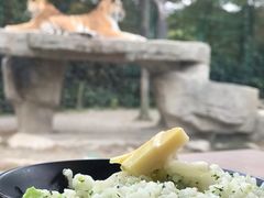 -上海野生动物园老虎餐厅