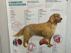 -立德动物医院·24小时中心(番禺区院区)