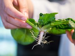 -巴奴毛肚火锅(安阳相州店)