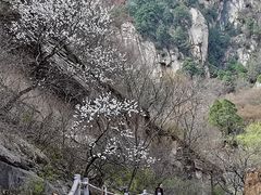 -黑龙潭风景区