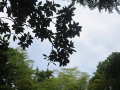 -豫园