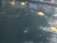 -裕龙汤泉