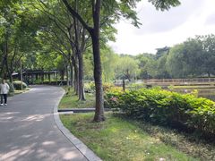 -泰州凤城河风景区-泰山公园