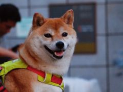 -簋街