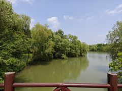 -苏州太湖国家湿地公园