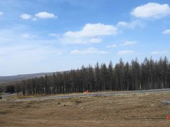 -塞罕坝国家级自然保护区