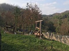 -都江堰中华大熊猫苑