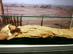 -北京大学赛克勒考古与艺术博物馆