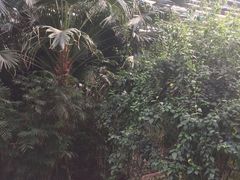 -龙达温泉生态城
