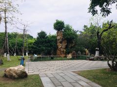 -名树园