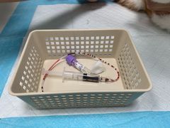 -纳吉亚猫专科动物医院博雅分院