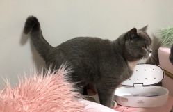 -Pink You美甲洗眉纹绣定制中心