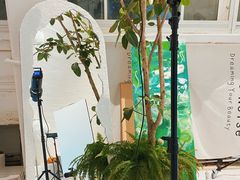 -白噪音White Noise·798概念店