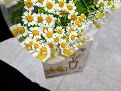 -雪蔓之鲜花气球派对(家佳源时代中心店)