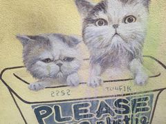 -槟城街头艺术街区