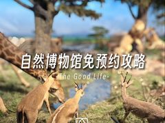 -国家自然博物馆