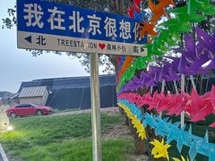 -森林小栈TreeStation露营基地