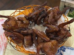 -一煲鸽