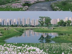 -洋湖国家湿地公园