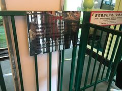 -史努比缤纷世界