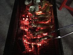 -西涌国际滨海旅游区