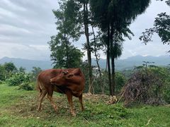 -寻龙山风景旅游区