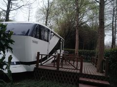 -崇明东平国家森林公园烧烤房车露营地