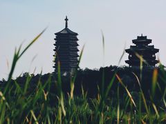 -永定河休闲森林公园