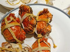 -杨氏青龙虾·羊蝎子(托乐嘉店)