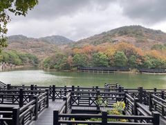 -白马涧龙池景区