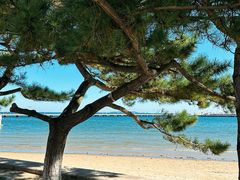 -ChanDu躔度咖啡(灯塔店)