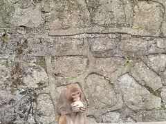 -黔灵山公园