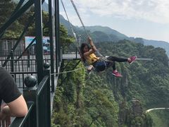 -梦幻奥陶纪景区
