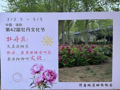 -洛阳市隋唐城遗址植物园