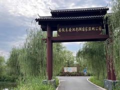 -池杉湖湿地公园