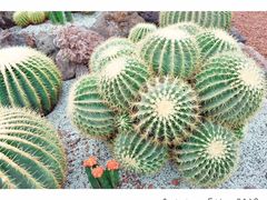 -南通洲际绿博园