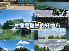 -翠湖国家城市湿地公园